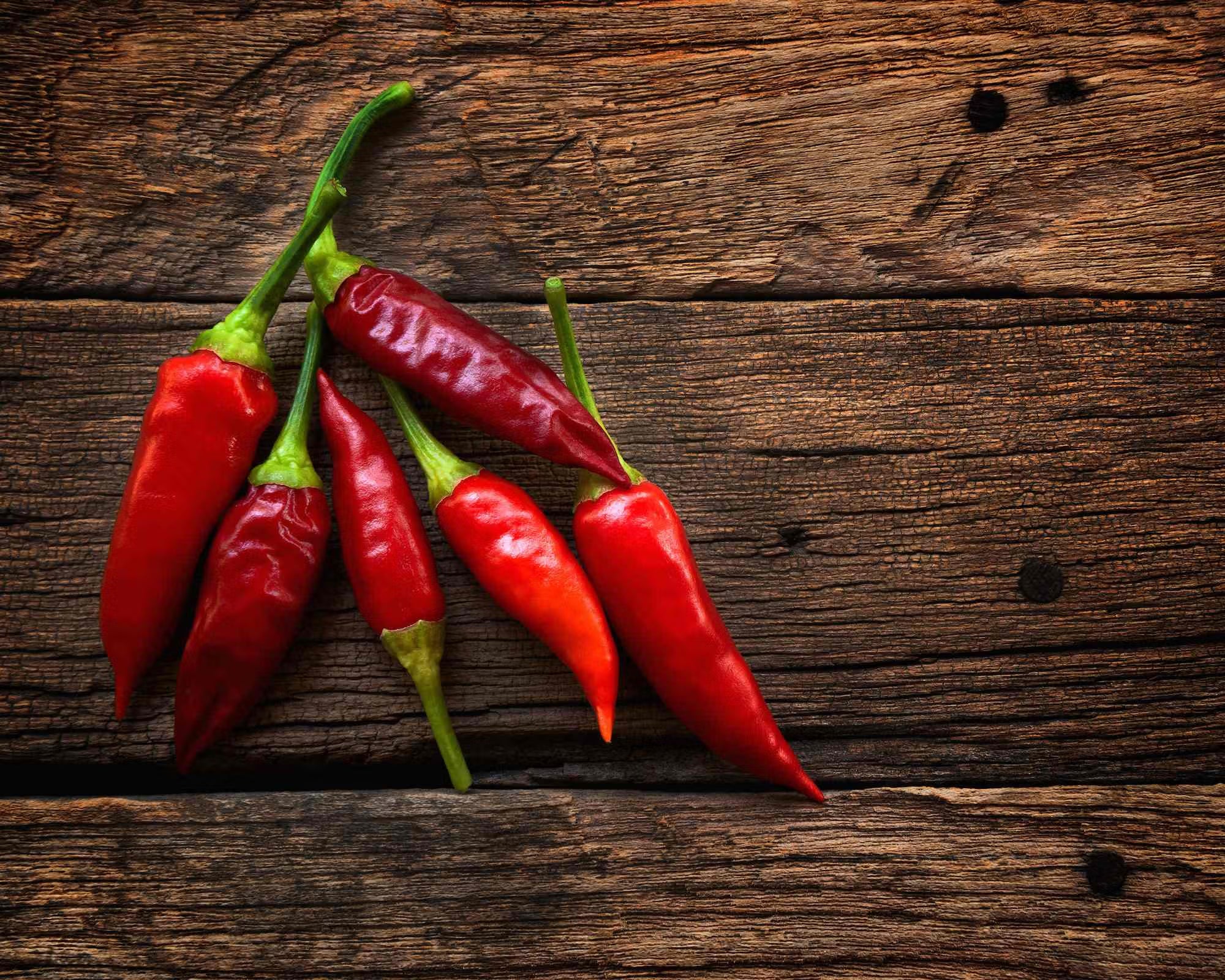 Frische rote Chilischoten